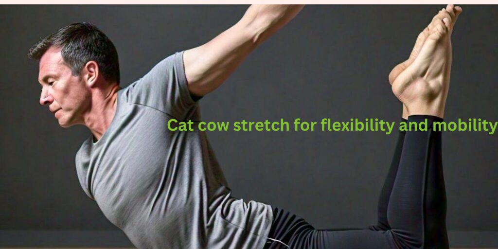 Cat-Cow Stretch for Flexibility and Mobility