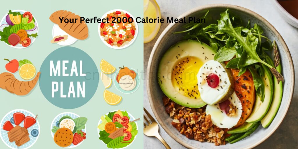 Your Perfect 2000 Calorie Meal Plan