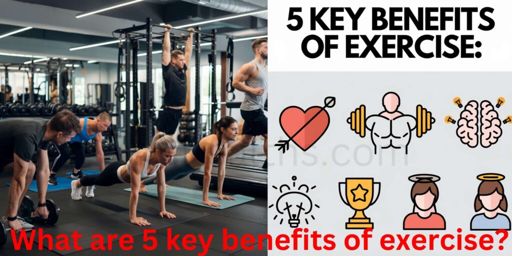 What are 5 key benefits of exercise?