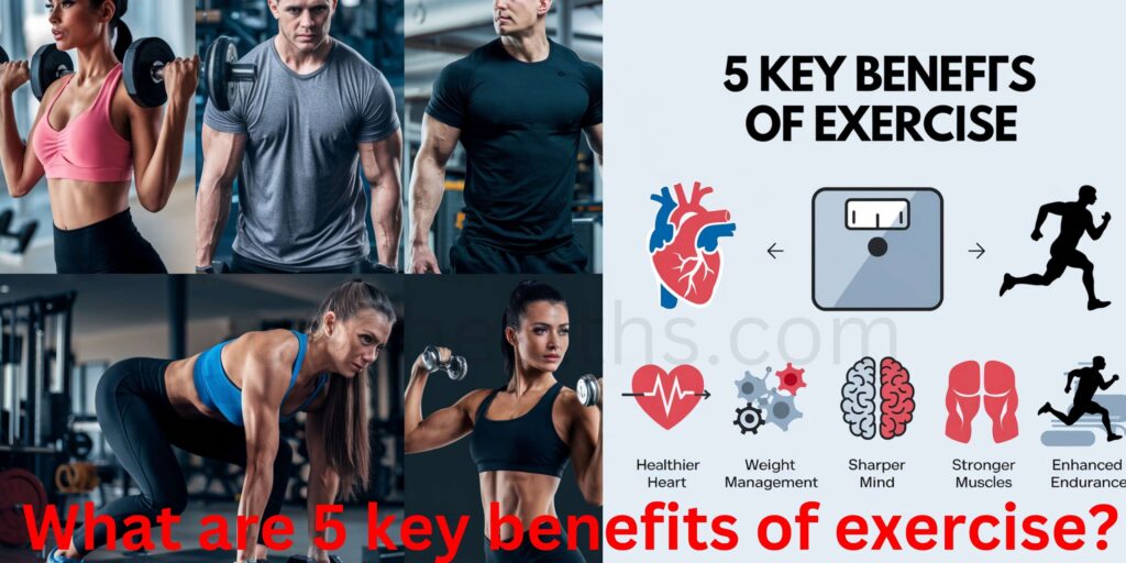 What are 5 key benefits of exercise?