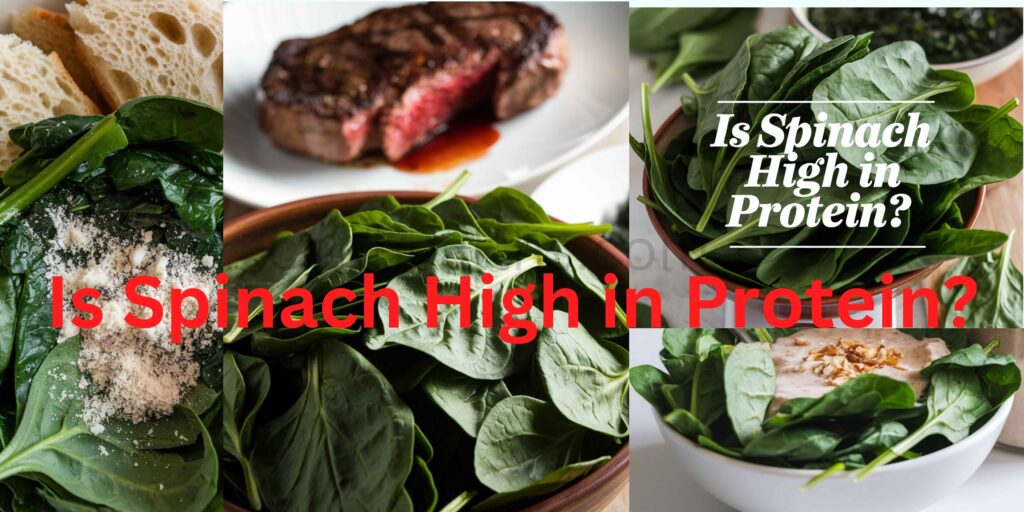 Is Spinach High in Protein?