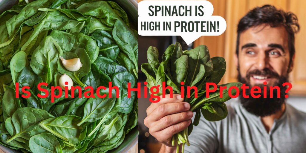 Is Spinach High in Protein?